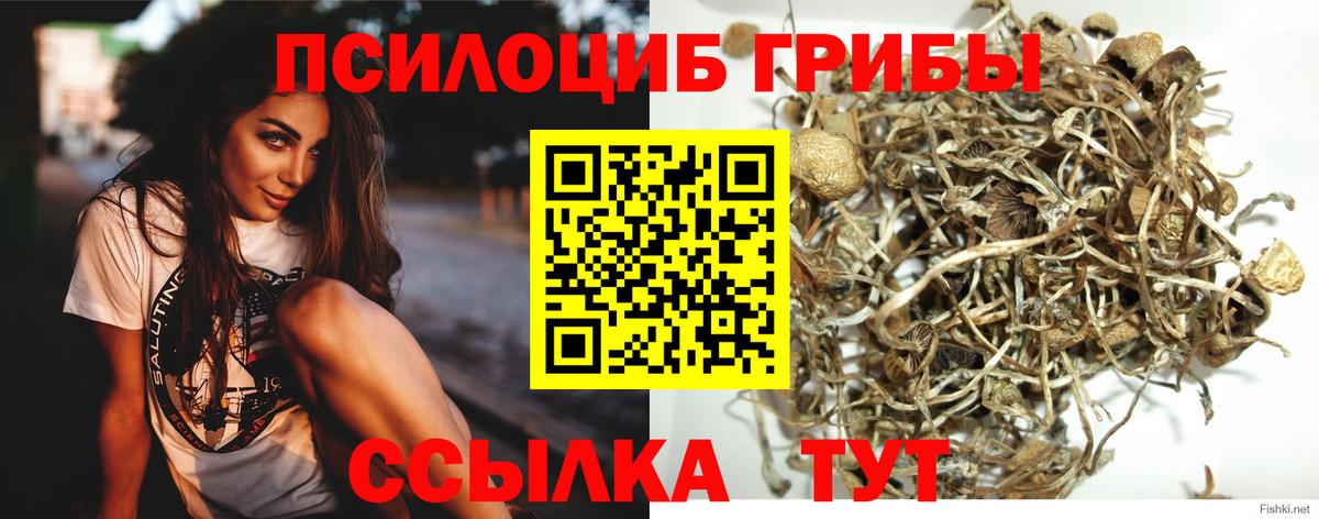 Псилоцибиновые грибы MAGIC MUSHROOMS  Вход с VPN  закладка  Сургут 