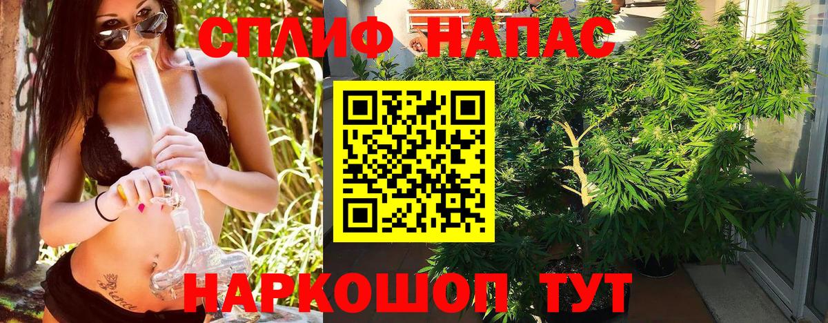 Конопля Bruce Banner Сургут